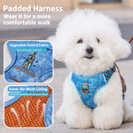 Adjustable Pet Harness