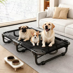 Elevated Folding Dog Cot with Breathable Mesh