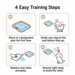 Plastic Dog Potty Tray with Grid for Small to Large Dogs