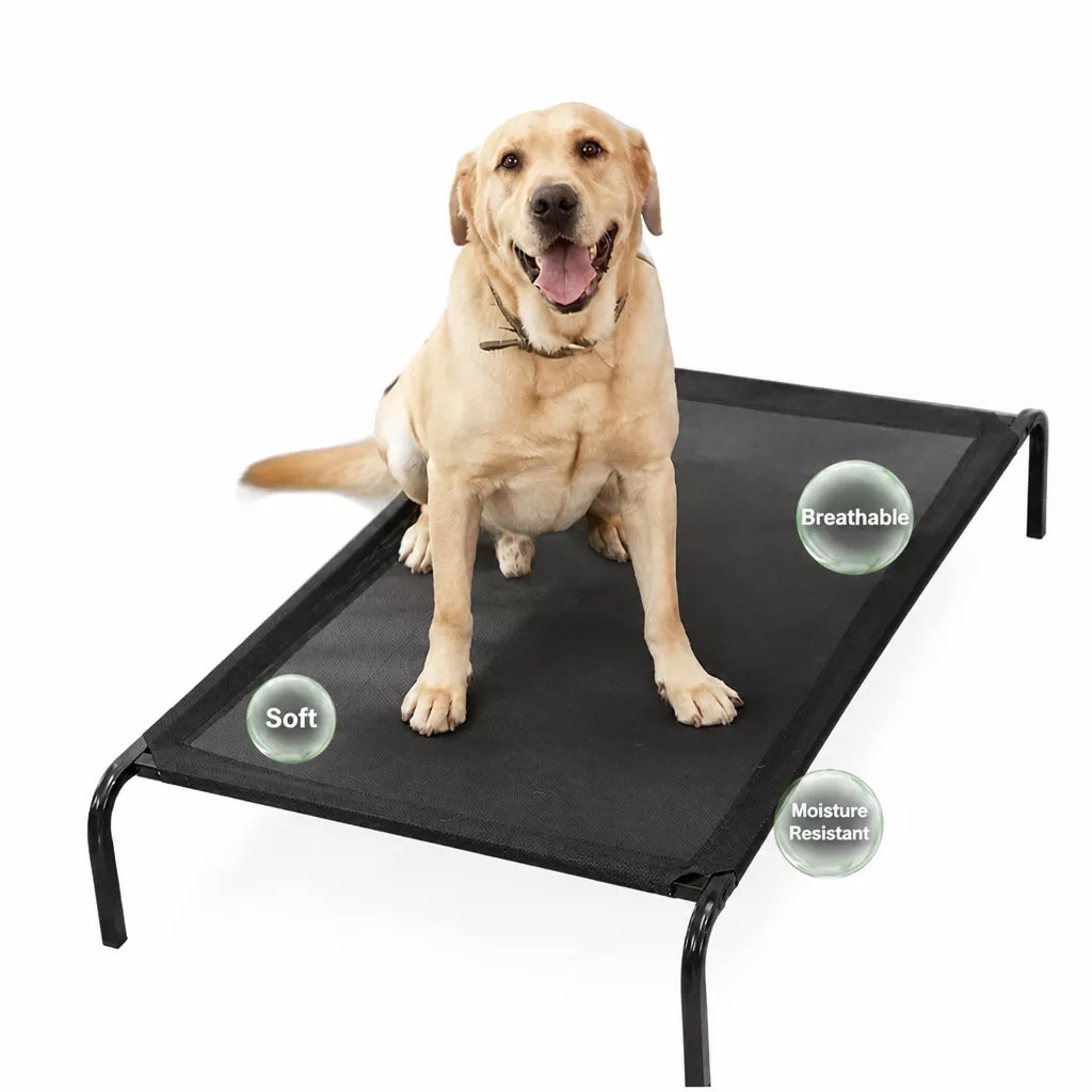 Elevated Dog Bed with Nylon Cot and Stainless Steel Frame