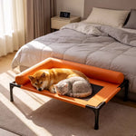 Raised Pet Cot Bed for Small to Medium Dogs and Cats