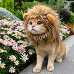 Character Costume Pet Hat for Cats and Dogs