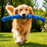 4-Section Squeaky Sausage Dog Toy
