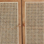 Stylish Rattan & Ash Wood Multi-Layer Cabinet with Metal Accents tzm-514