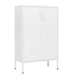 Suitable for steel storage cabinets in living rooms, kitchens, and bedrooms, 2 door miscellaneous storage cabinet, garage tool storage cabinet, and office file cabinet 2 movable partitions W1247P173330-djyc