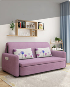 Elegant Solid Wood Sofa in Khaki, Violet Green, and Light Blue with Cotton-Linen Upholstery fsx-999