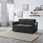 Loveseats Sofa Bed with Pull-out Bed,Adjsutable Back and Two Arm Pocket,Black (54.5"x33"x31.5") W48766865-djyc