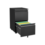 2 Drawer File Cabinet with Lock, Metal Under Desk Rolling Filing Cabinet fits Letter/Legal/A4 Size for Home Office, Mobile Filing Cabinet, Assemble Required, Black W1247125571-djyc