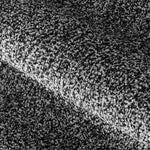 23964261