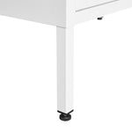 Suitable for steel storage cabinets in living rooms, kitchens, and bedrooms, 2 door miscellaneous storage cabinet, garage tool storage cabinet, and office file cabinet 2 movable partitions W1247P173330-djyc