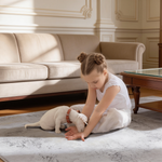 MAVAL Gold Washable Rug 3x5 Area Rug (Gray+Gold, 3' x 5')-B189P188973 - 场景图