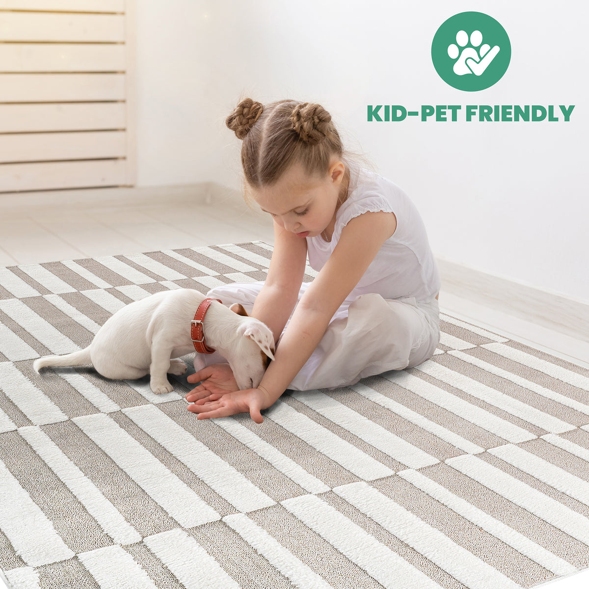 23955807