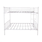 Twin-Over-Twin Bunk Bed with Metal Frame and Ladder, Space-Saving Design,White W84034153-djyc