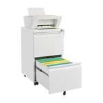 Metal 2 Drawers Mobile File Cabinet with Lock, Under Desk Office Steel Filing Cabinet, 25.6''H Legal/Letter Size Files Storage Cabinet,White W1247125572-djyc