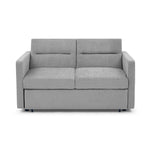 Loveseats Sofa Bed with Pull-out Bed, Adjsutable Back and Two Arm Pocket,Grey W48766862-djyc