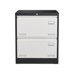2 Drawer Metal Lateral File Cabinet with Lock,Office Vertical Files Cabinet for Home Office/Legal/Letter/A4,Locking Metal File Cabinet,Assembly Required W1247118739-djyc