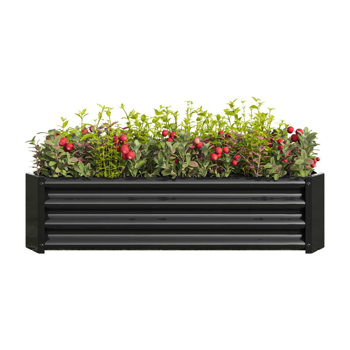 Metal Raised Garden Bed, Rectangle Raised Planter 4×2×1ftfor Flowers Plants, Vegetables Herb Black W84090999-djyc