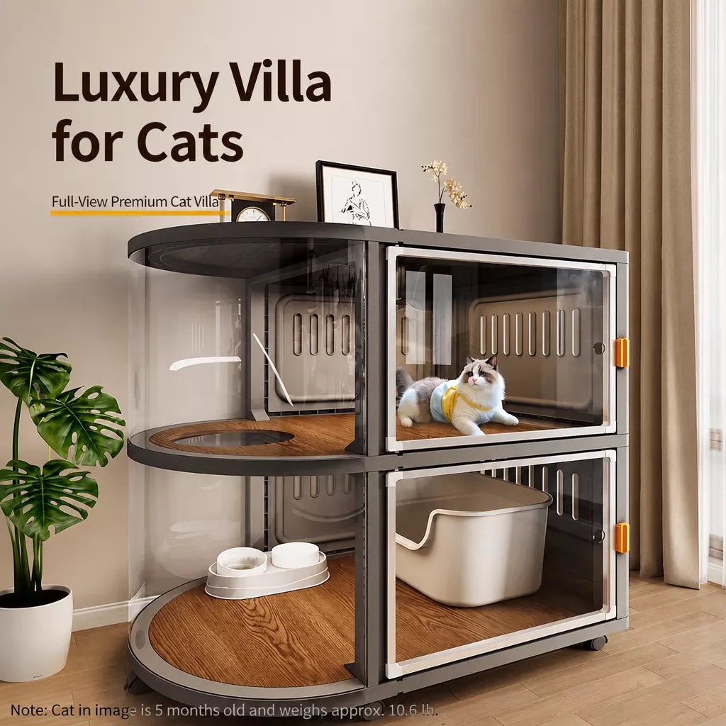 Indoor Multi-Level Cat Enclosure