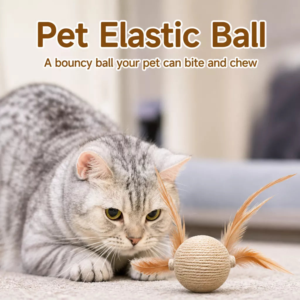 Cat Feather Teaser Ball Toy