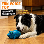 Latex Squeaky Pig Toy for Dogs