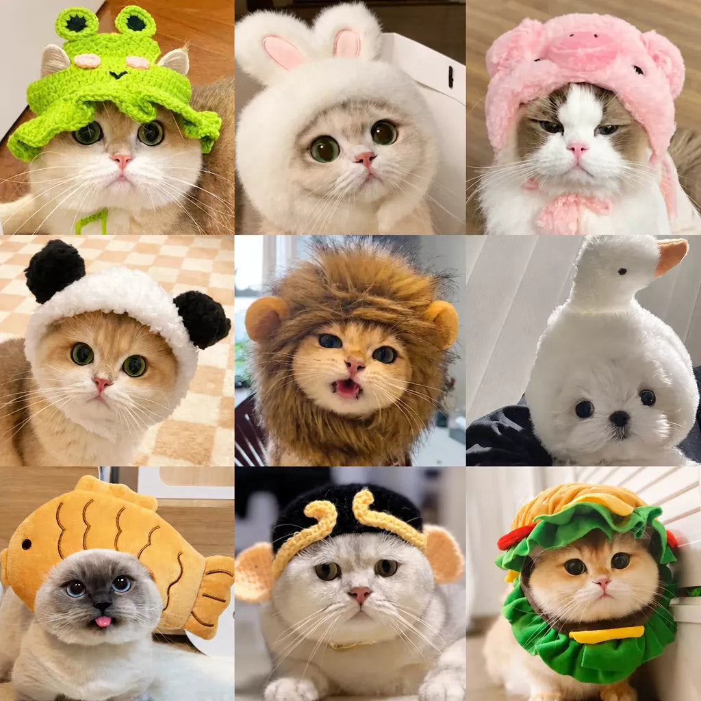Character Costume Pet Hat for Cats and Dogs