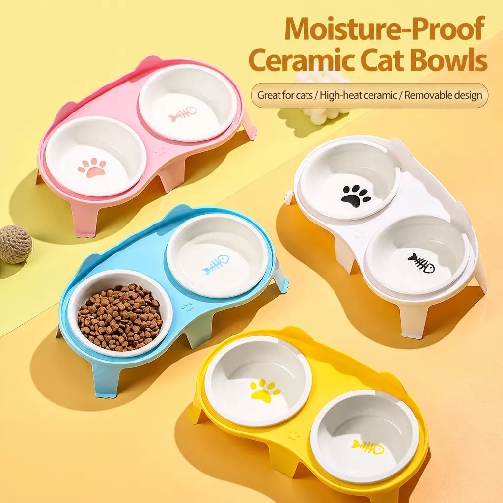 Elevated Ceramic Double Bowl Set for Cats