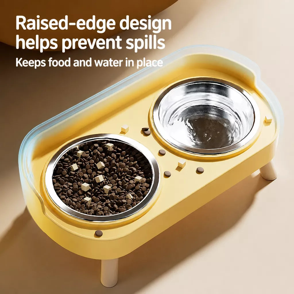 Small Dog Stainless Steel Bowl and Stand Set