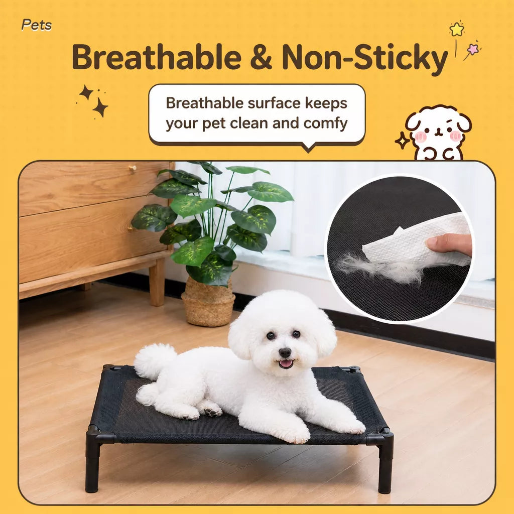 Elevated Portable Pet Bed with Removable, Washable Cover