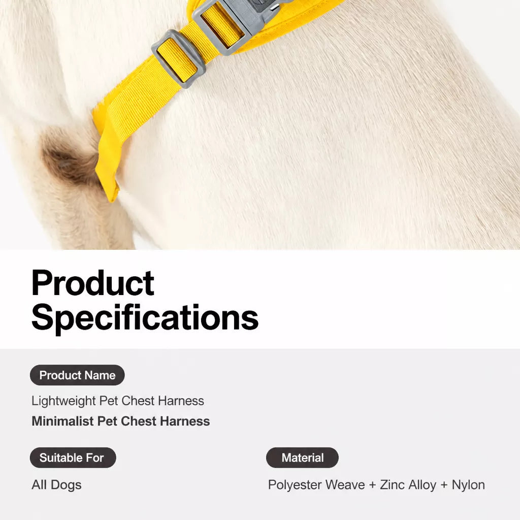 Nylon Dog Harness and Leash Set