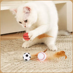 Cat Feather Teaser Ball Toy