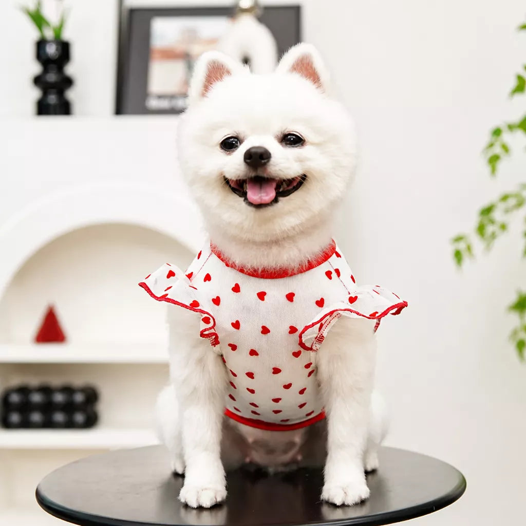 Lightweight Summer Mesh Pet Shirt for Dogs and Cats