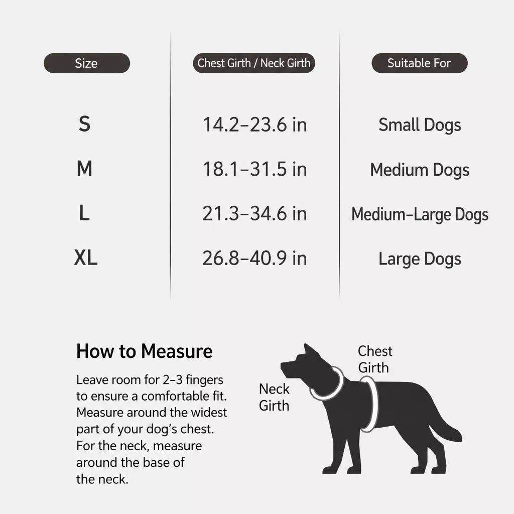 Nylon Dog Harness and Leash Set