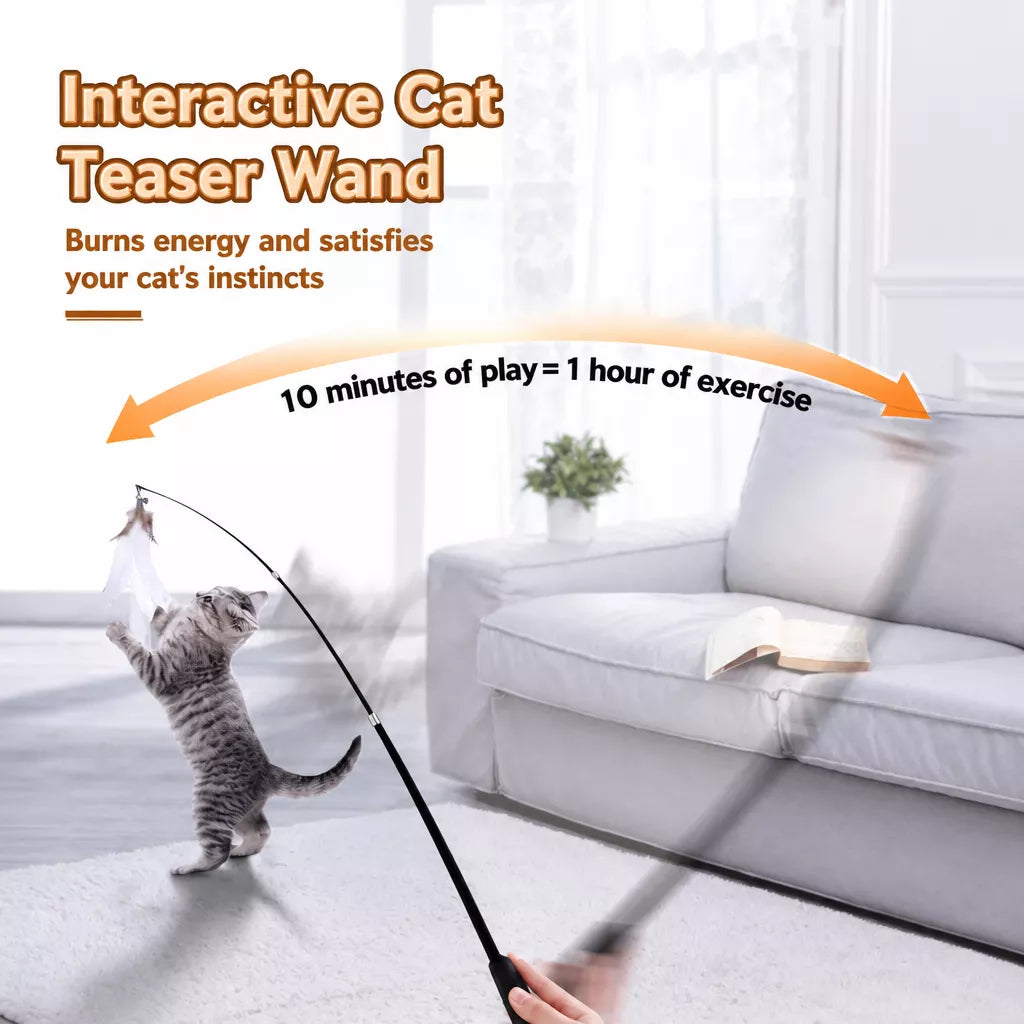 Cat Wand Toy with Feather Replacement Heads