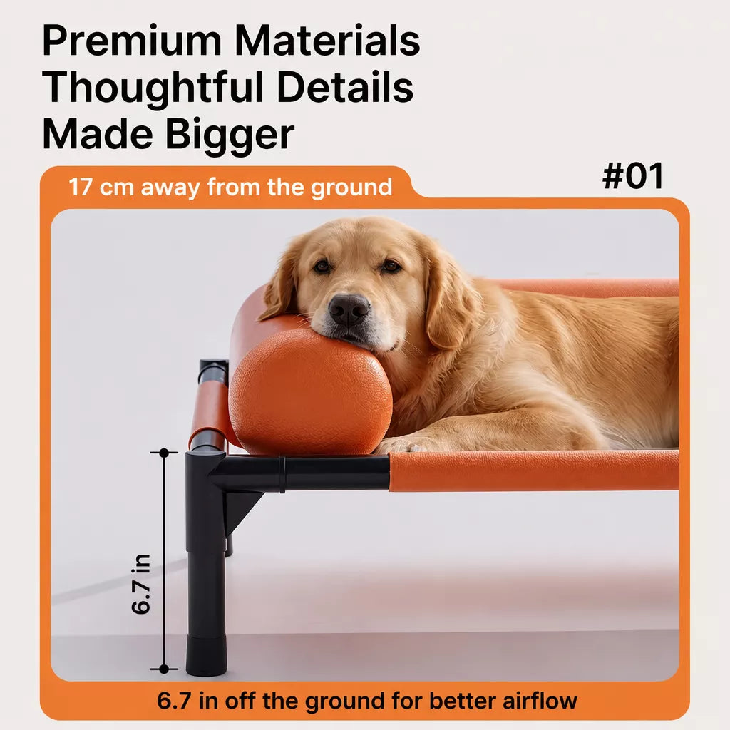 Raised Pet Cot Bed for Small to Medium Dogs and Cats