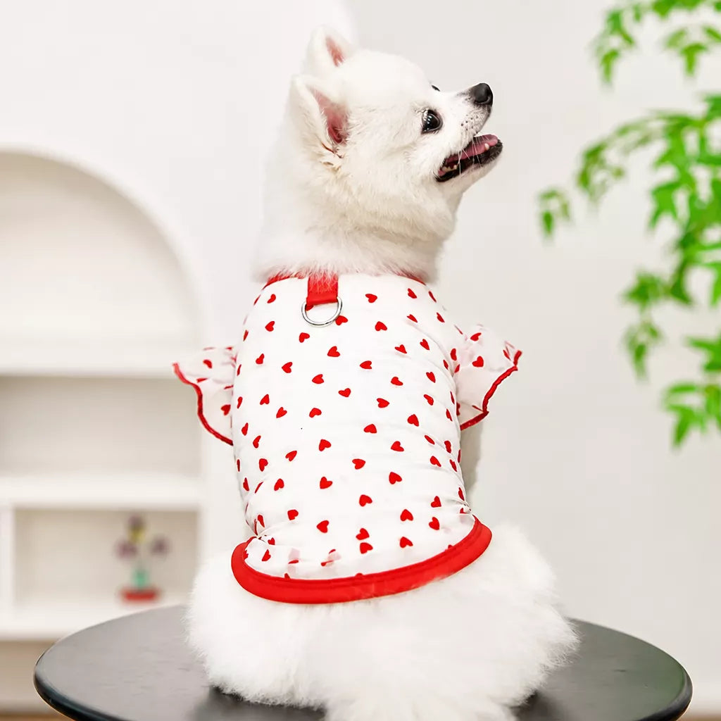 Lightweight Summer Mesh Pet Shirt for Dogs and Cats