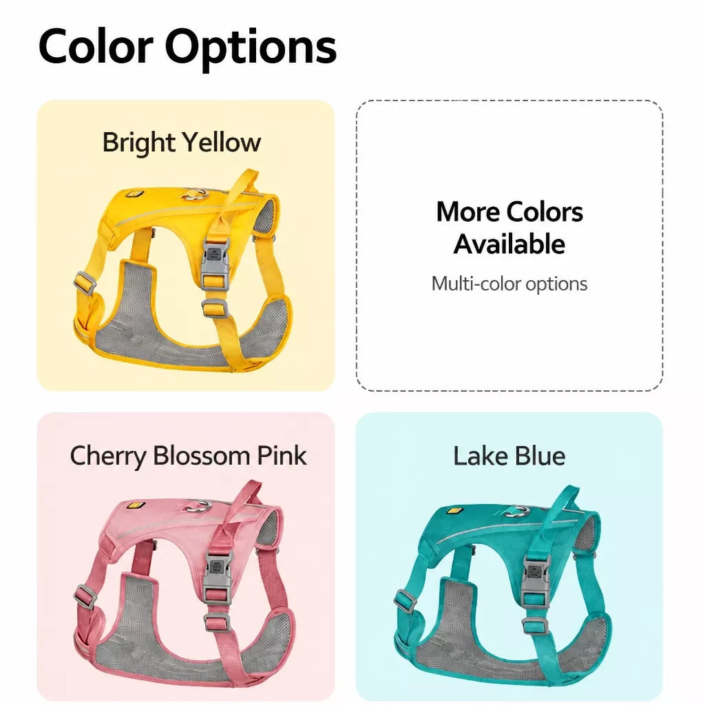 Nylon Dog Harness and Leash Set