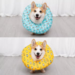 Soft Recovery Cone Collar for Dogs