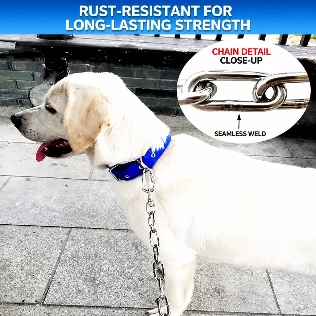 304 Stainless Steel Chain Dog Leash, Collar & Handle Set