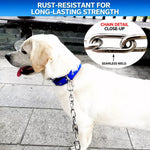 304 Stainless Steel Chain Dog Leash, Collar & Handle Set