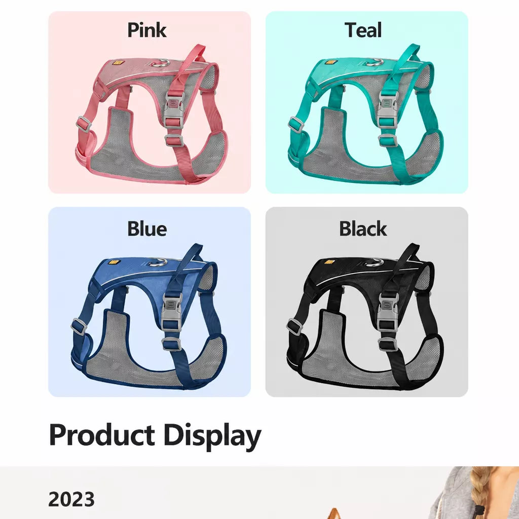 Nylon Dog Harness and Leash Set