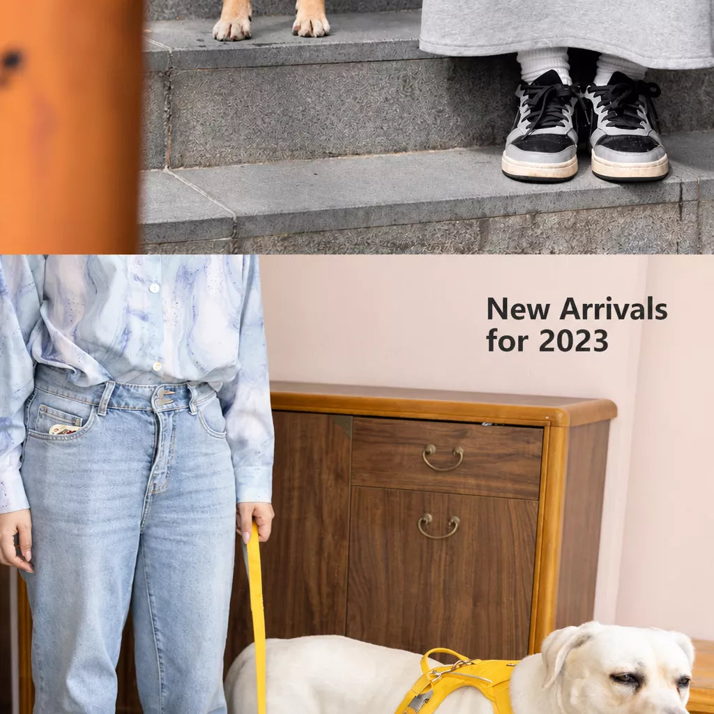 Nylon Dog Harness and Leash Set