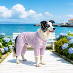 Four-Leg Dog Shirt with Cartoon Print