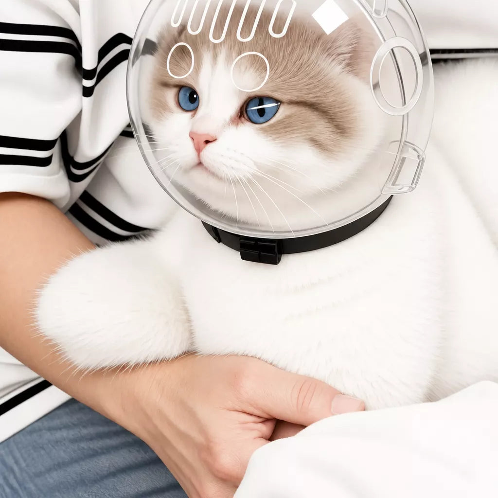 Cat Space Hood Elizabethan Collar