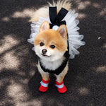 Mesh Dog Shoes with Soft Soles