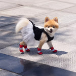 Mesh Dog Shoes with Soft Soles