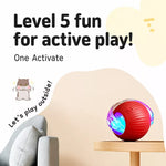 Automatic Interactive Rolling Cat Ball Toy