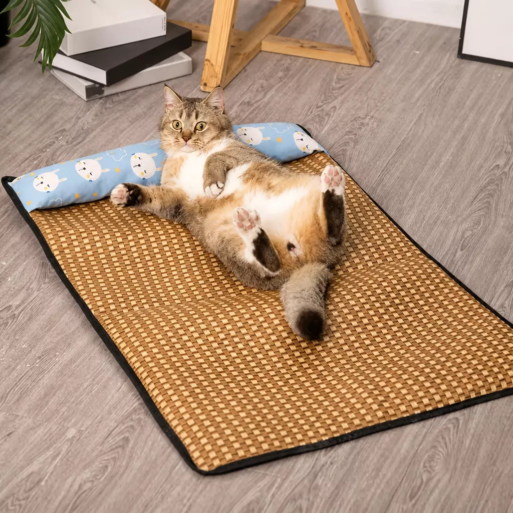 Foam Pillow Mat Pet Bed for Cats and Dogs