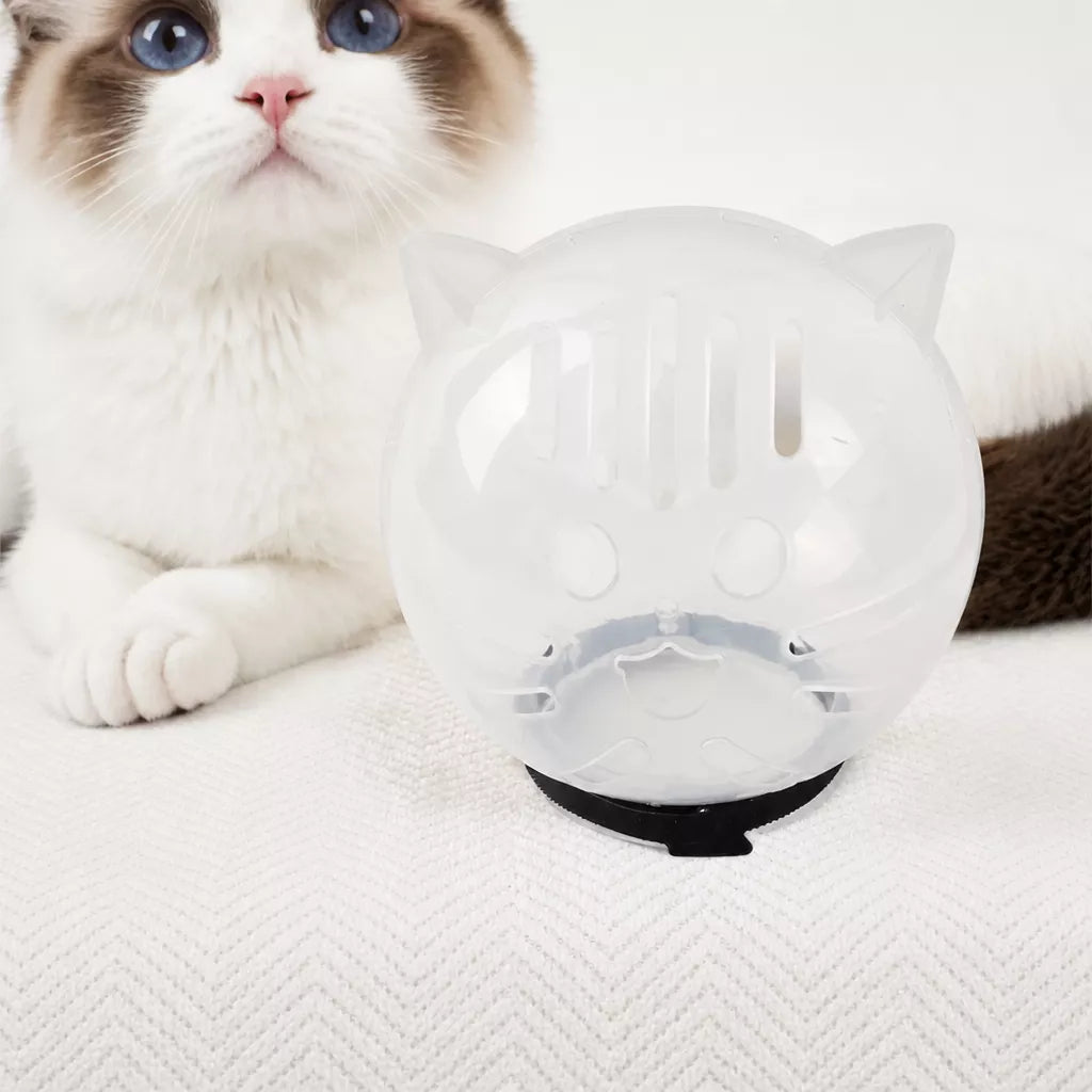 Cat Space Hood Elizabethan Collar