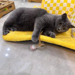 Cat Feather Teaser Ball Toy