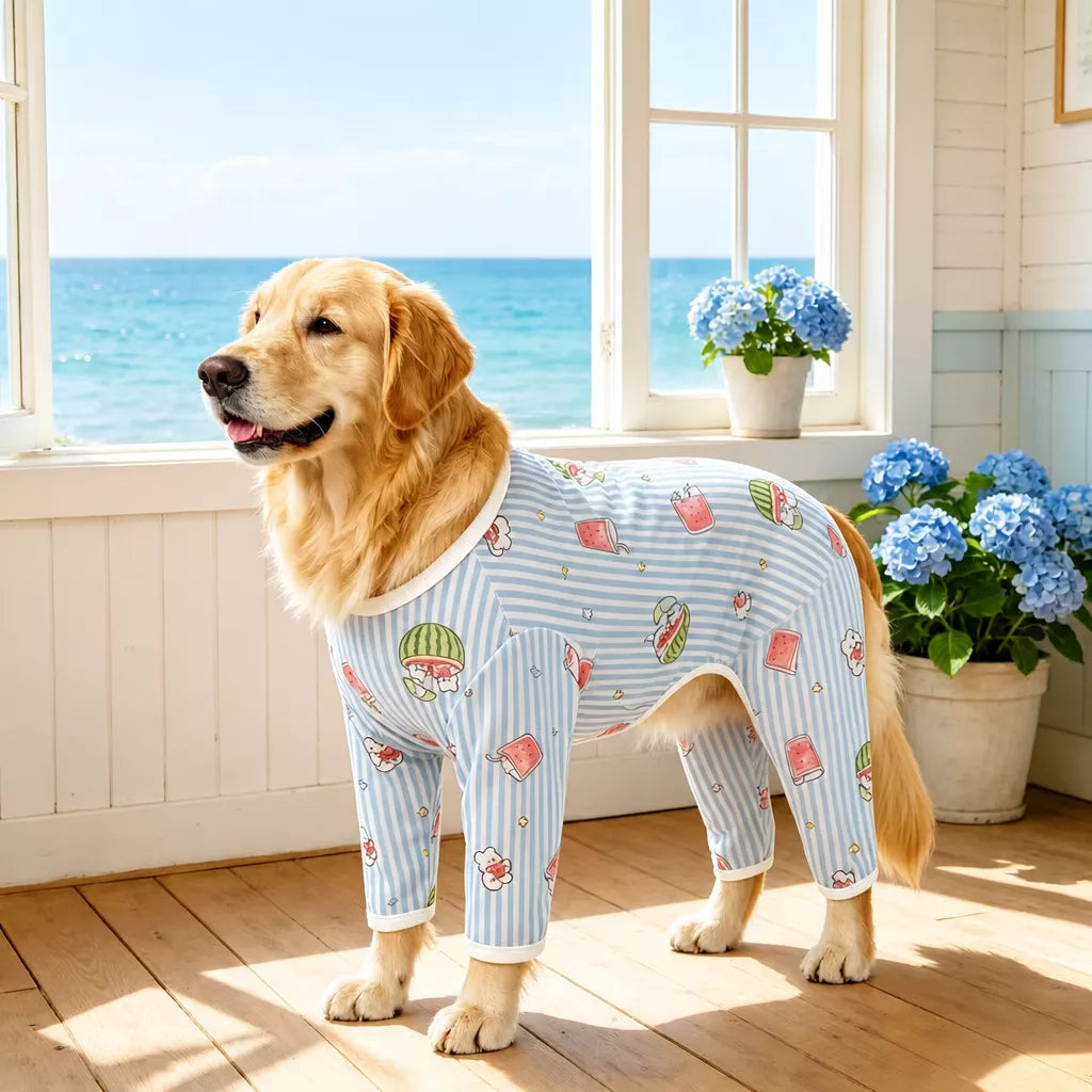 Four-Leg Dog Shirt with Cartoon Print